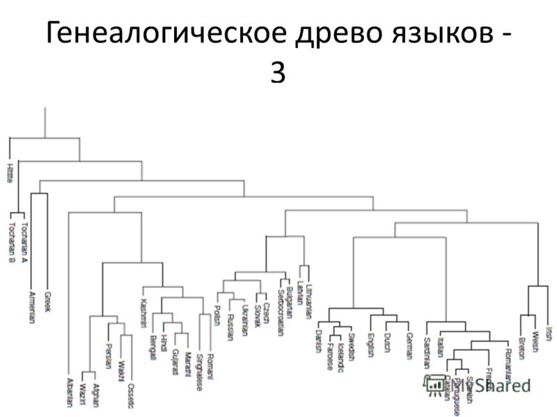 Генеалогическое древо русского языка картинки