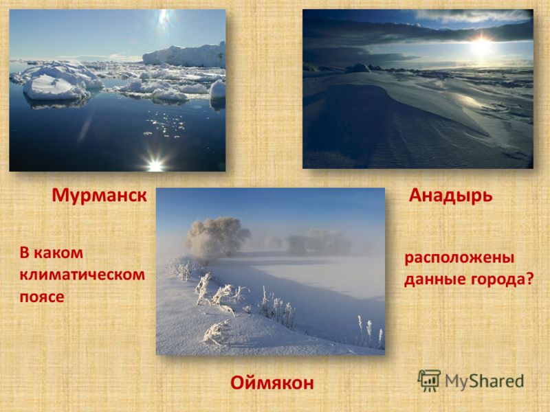 Тип климата города салехард. Мурманск климатический пояс. Анадырь климатический пояс. Тип климата в Мурманске.