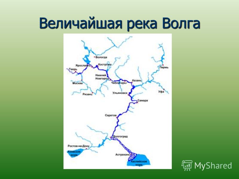 Определите притоки волги. Карта реки Волги с притоками.