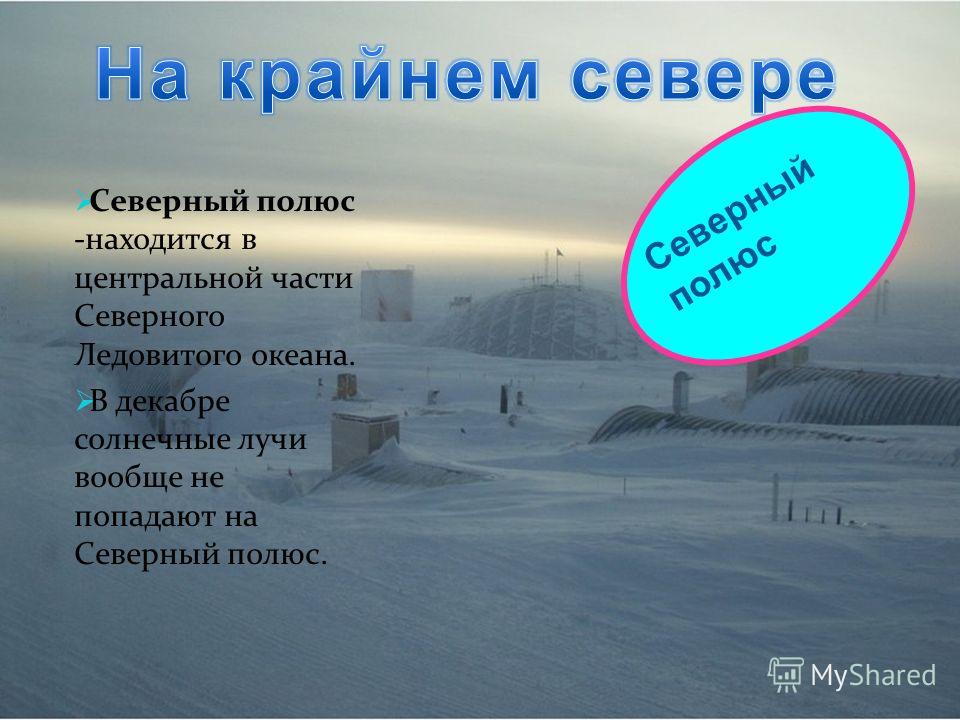 Где на данный момент холоднее всего. Стихи про Север. Доклад о Северном полюсе. Стих про Северный полюс для детей. Стихи о крайнем севере.