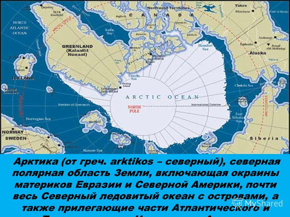 Полярные круги северного ледовитого океана. Полярные области земли. Презентация Полярные области земли. Арктика Северная Полярная область земли. Полярные области земли 7 класс.