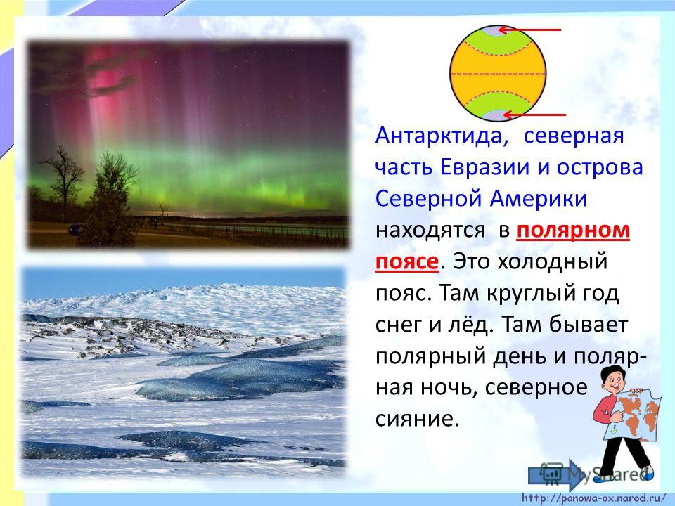 Температура холодного пояса. Северный Полярный пояс. Холодный пояс. Арктический пояс Евразии. Полярный день в Евразии.
