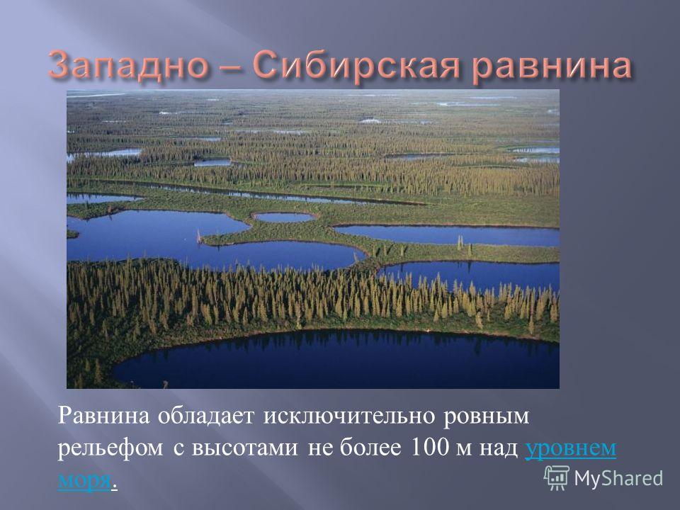 Название западно сибирской равнины. Западно-Сибирская низменность высота. Западносибирская равнина равнитна.