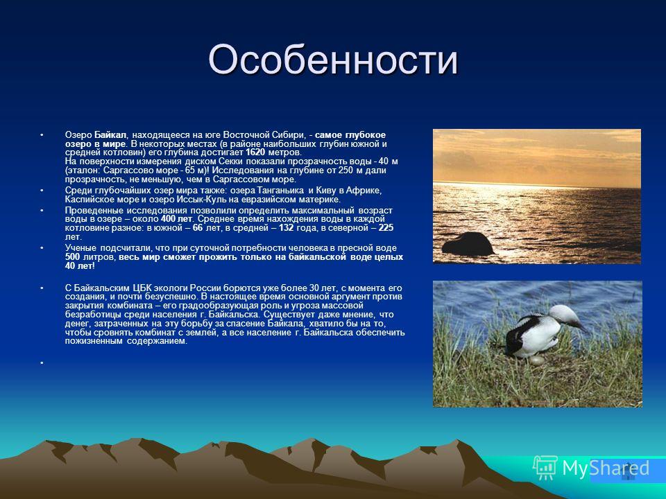 Особенности озер. Характеристика Байкала. Особенности озера Байкал. Заповедники Байкала презентация.