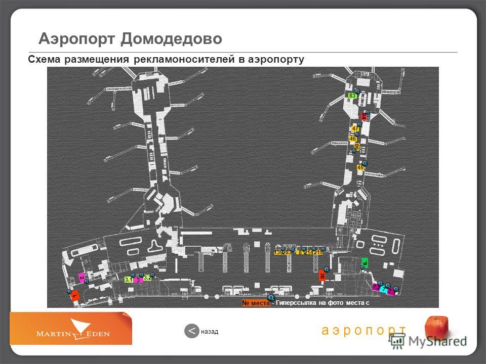 Домодедово внутренние рейсы. Схема аэропорта Домодедово.