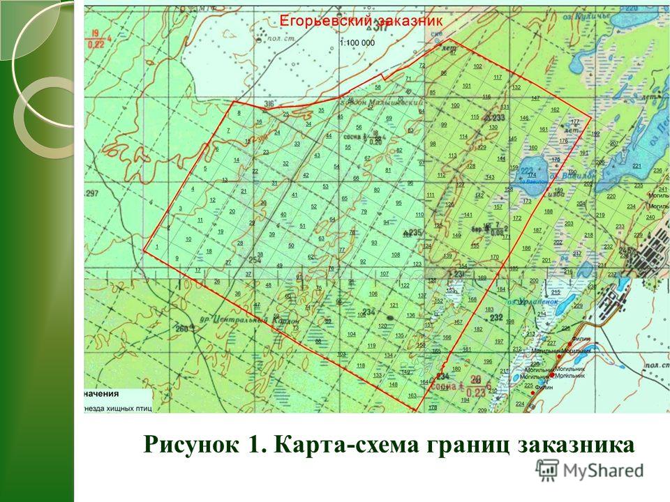 Поквартальная карта воронежского заповедника