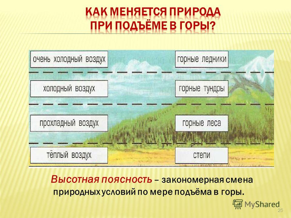 Причина изменения природных зон. Как меняется природа при подъеме в горы. Смена природных зон. Смена природных зон России. Схема природных зон.