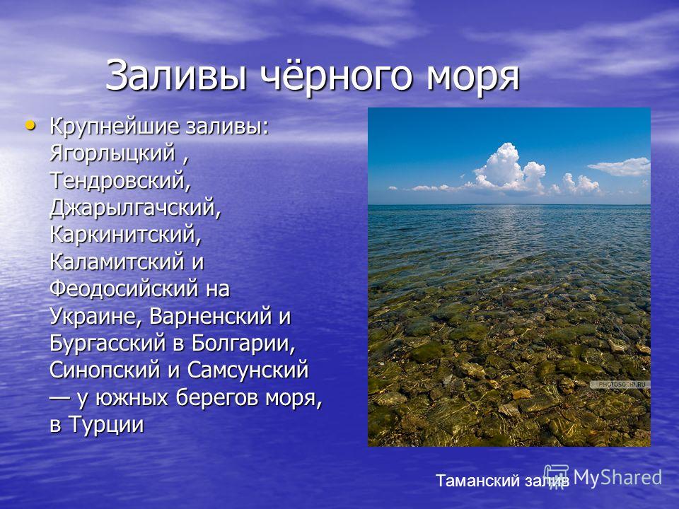 Крупные заливы. Заливы и проливы черного моря. Важнейшие заливы и проливы черного моря. Заливы проливы острова черного моря. Крупнейшие заливы черного моря.