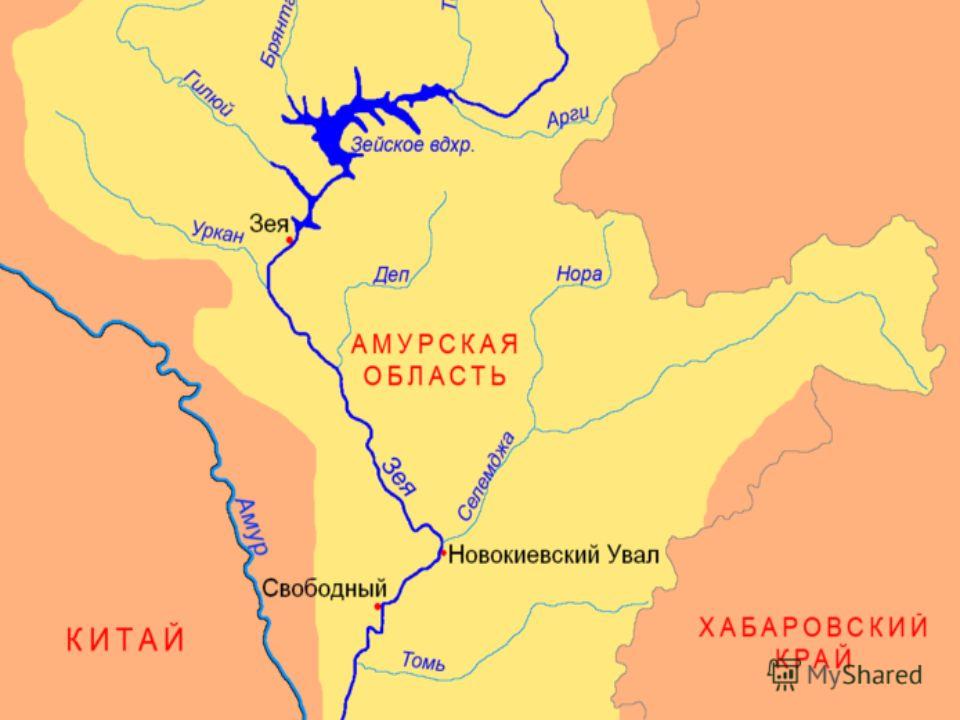 Амур бурея зея относятся к рекам. Река Зея Амурская область на карте России. Карта реки Амур с притоками. Притоки реки Амур Амурской области. Река Амур от истока до устья.