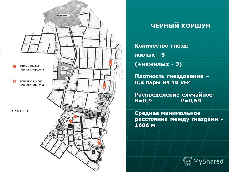 Карта с кварталами и выделами