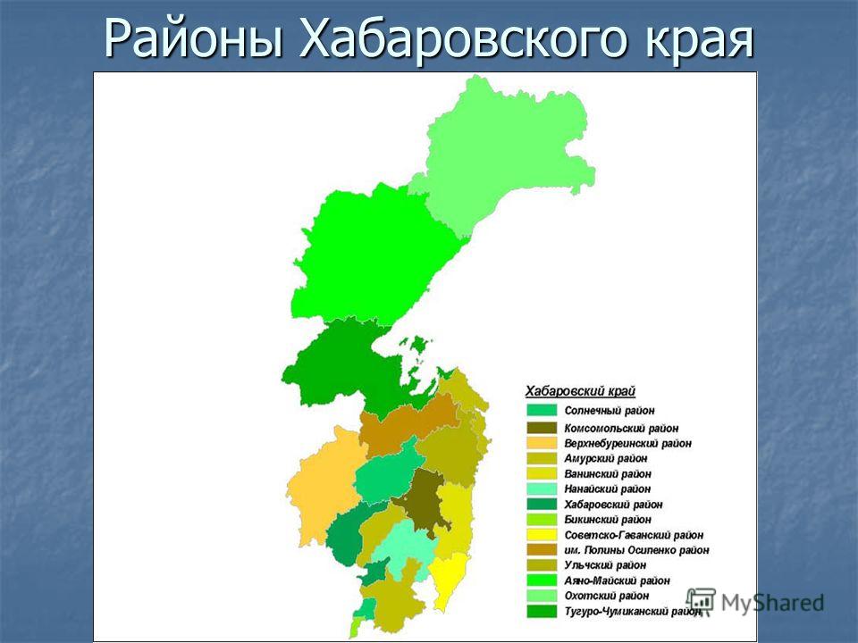 Край разделить. Административно-территориальное деление Хабаровского края. Карта Хабаровского края с районами. Карта Хабаровского края административно-территориальное деление. Карта муниципальных районов Хабаровского края.