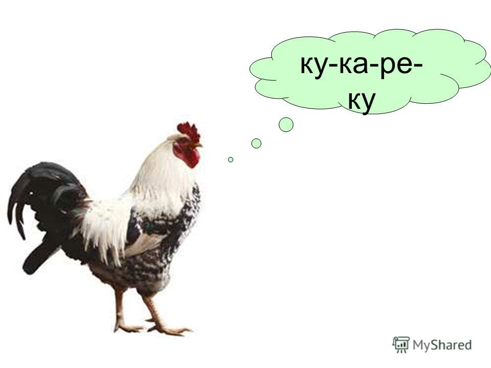 Звук курицы. Петух кукареку. Петух говорит. Петух кукарекает кукареку. Ку-ка-Ре-ку!.