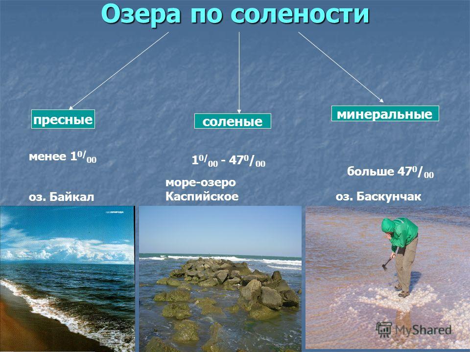 Соленая вода название. Каспийское море или озеро соленое или пресное. Озера по солености. Озера соленые или пресные. Озеро Байкал пресная вода.