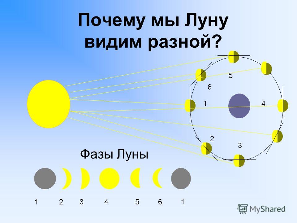 Почему мы видим так ответы