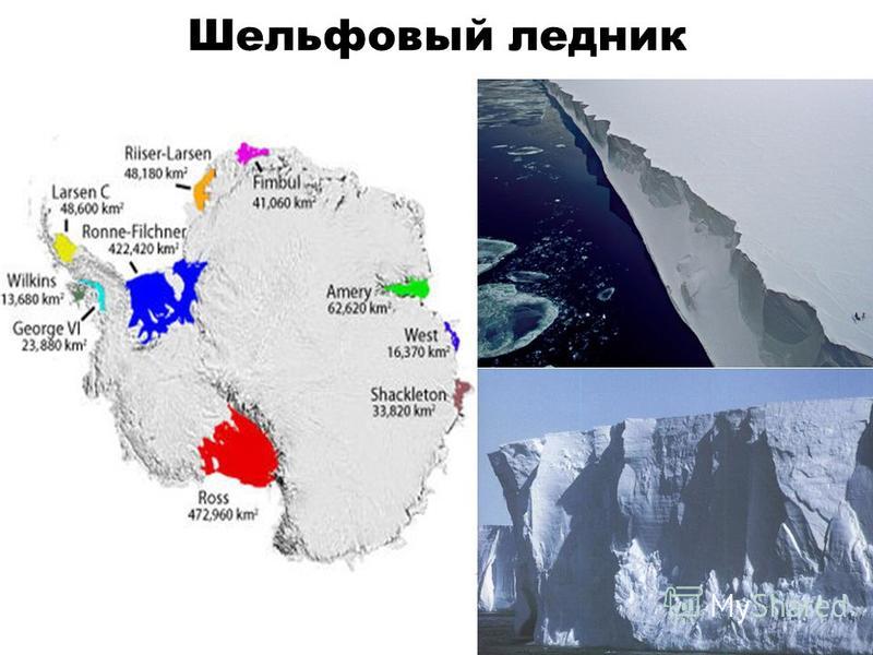 Самый большой материк покрытый ледником на карте. Шельфовый ледник Беллинсгаузена. Шельфовый ледник Шеклтона. Шельфовые ледники Антарктиды на карте. Шельфовый ледник Росса на физической карте Антарктиды.