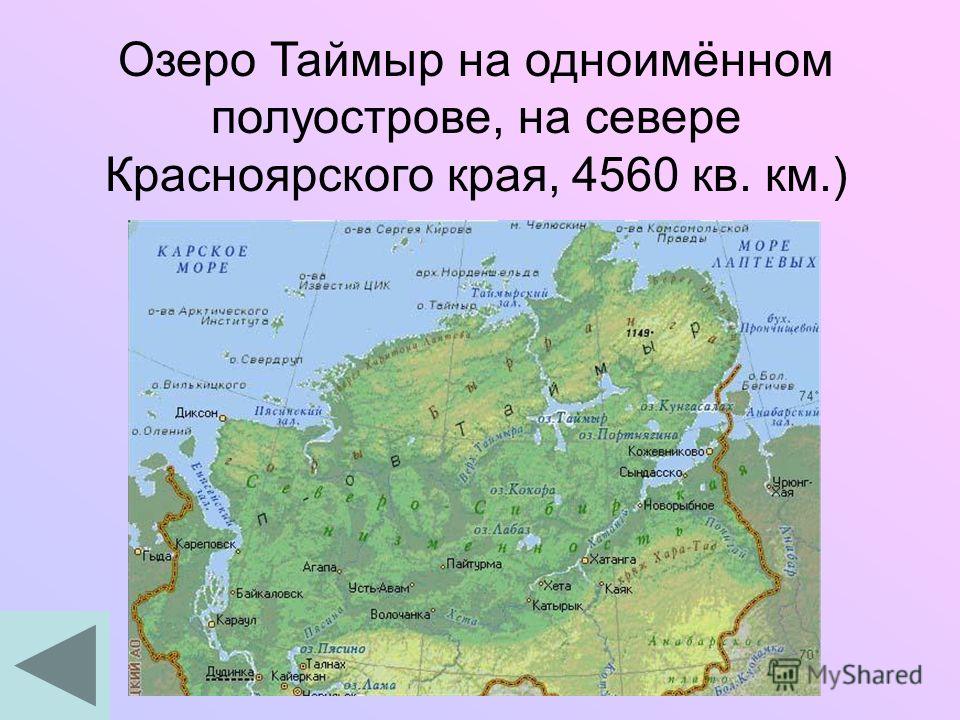 Какие озера находятся в европе. Озеро Таймыр на карте России. Озеро Таймыр на карте. Озеро Таймыр на карте России физической. Полуостров Таймыр на карте.