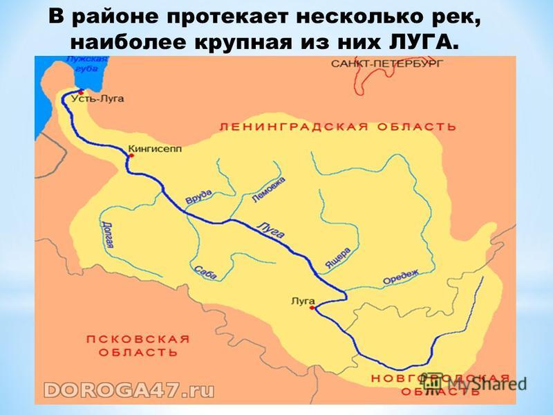 В каком направлении протекает река. В районе протекает река:. Какие реки протекают в нашем районе. По территории ЦЧЭР протекает река. Карта река Усть-Луга.