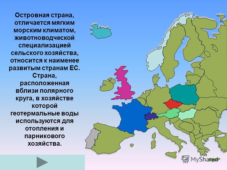 Какие грибы западная европа европе прозвали