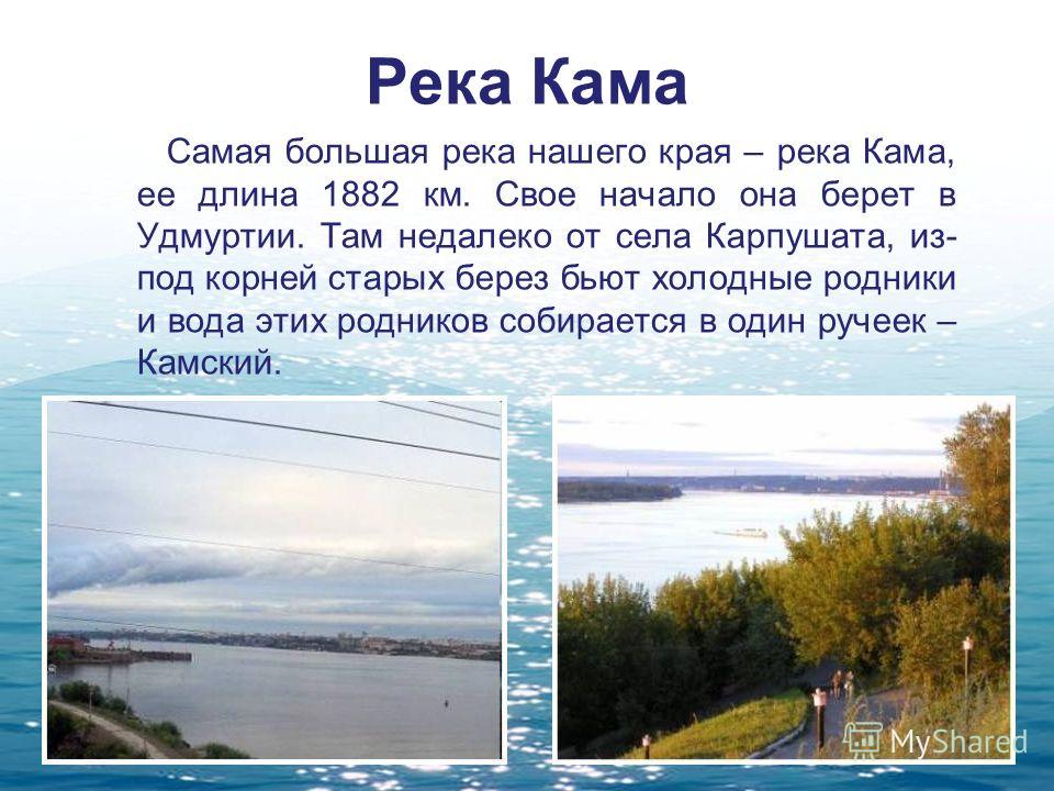 Кама на каком городе. Река Кама в Удмуртии. Сообщение о реке Кама. Описание Камы. Описание реки Камы.