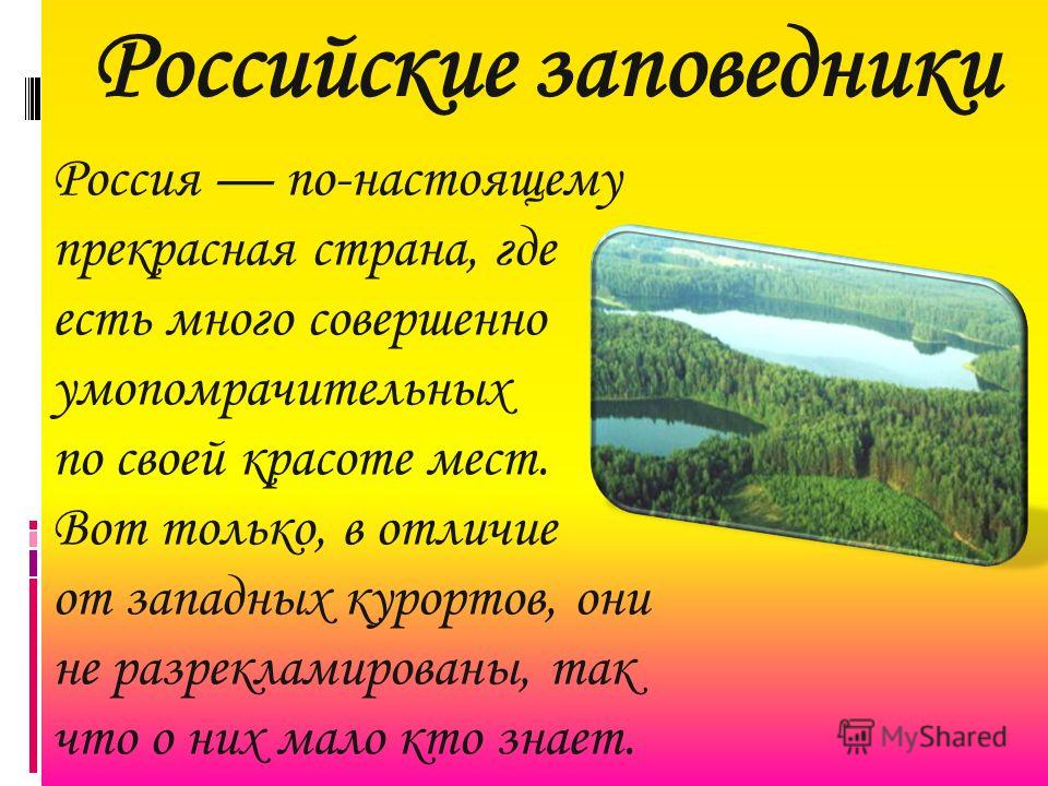 Про заповедник. Заповедники России доклад. Доклад о заповеднике. Заповедники России презентация. Заповедники презентация.