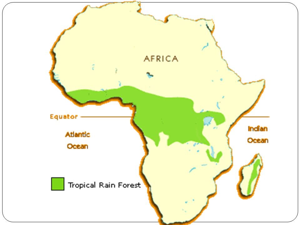 Экватор африки. Влажные экваториальные леса Африки на карте. Тропические леса Африки на карте. Экваториальные леса Африки на карте. Карта влажных экваториальных лесов Африки.