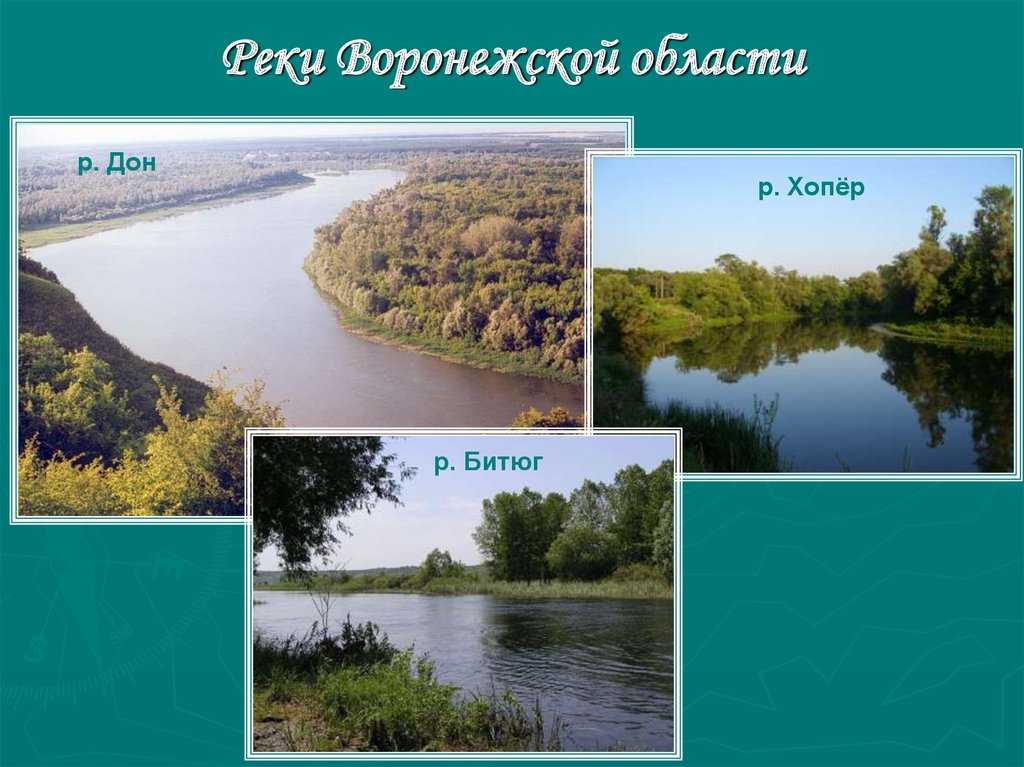 Водные богатства воронежского края 2 класс