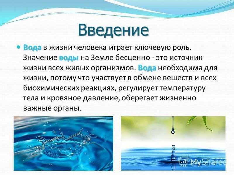 Вода значение для организма кратко. Роль воды в жизни человека. Вода в жизни человека презентация. Значение воды. Важность воды в человеческой жизни.