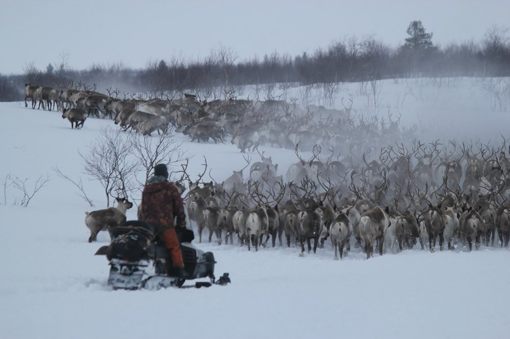 Кольский полуостров Краснощелье