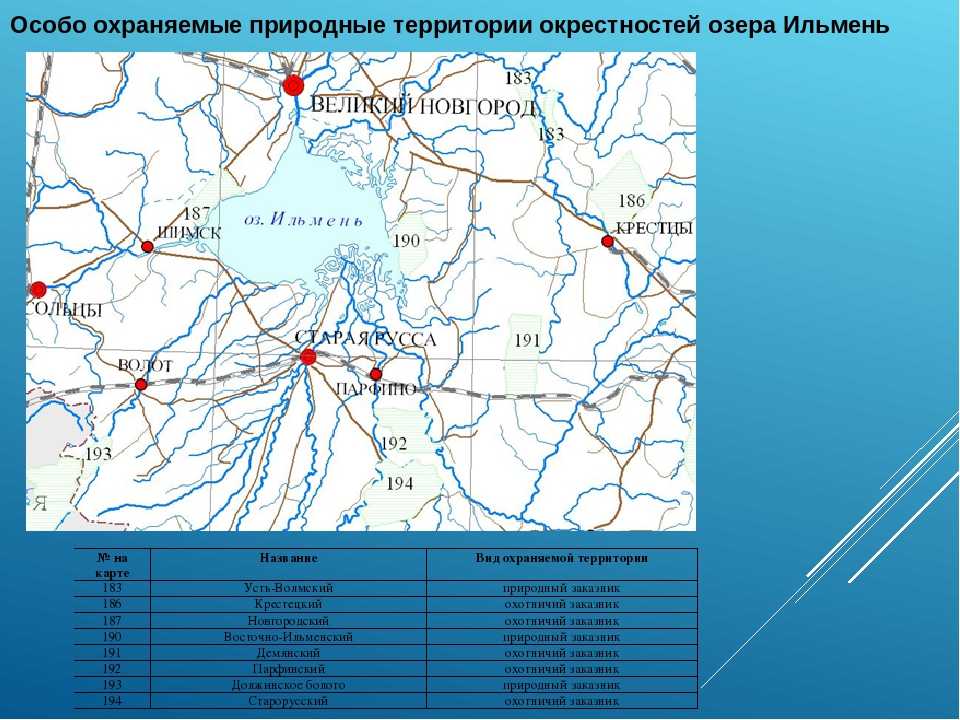 Ильменские сети великий новгород телефон