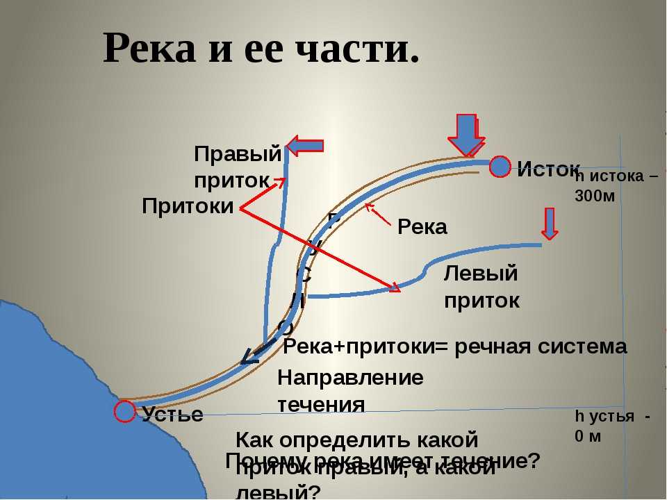 В какую сторону текут реки россии. Направление рек. Направление течения. Как понять направление течения реки. Как определить направление течения.
