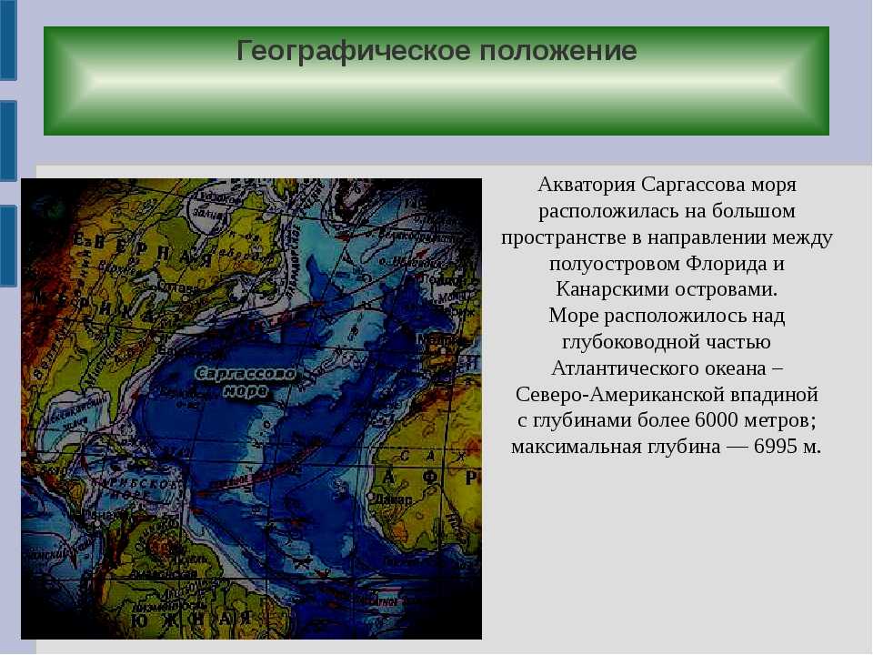 Положение моря. Где находится Саргассово море. Саргассово море географическое положение. Саргассово море интересные факты. Географическое положение морей.