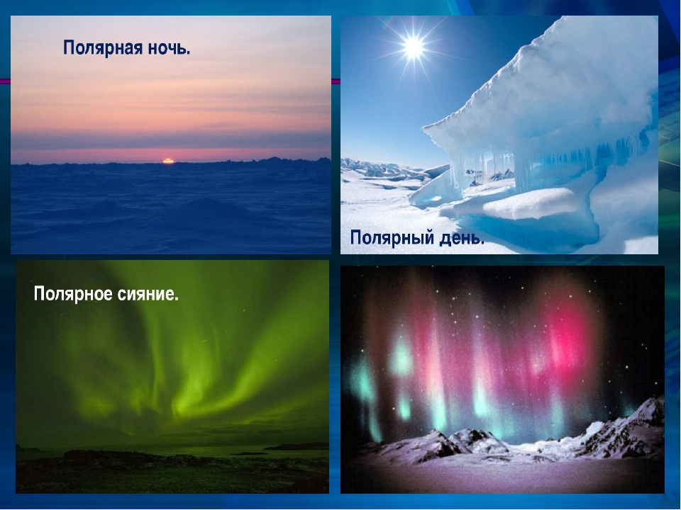 Доклад от южной до полярного края. Полярный день и ночь. Полярная Дяне полярныая ночь. Полярный день. Полярные день и ночь в Арктике.