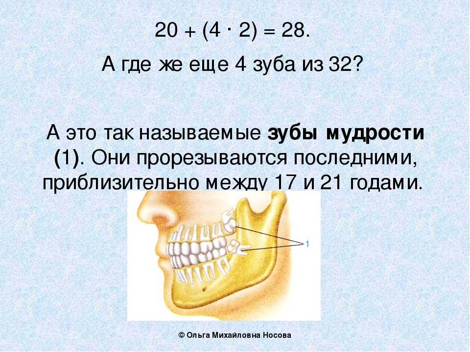 Сонник выпали коренные зубы. Не выпадают молочные зубы. У детей выпадают молочные зубы схема.