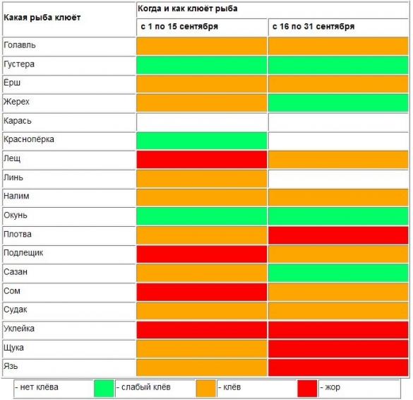 Какая рыба клюет