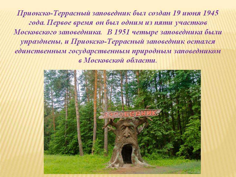 Национальные парки памятники природы. Приокско-Террасный заповедник, Московская область. 19 Июня 1945 создан Приокско-Террасный заповедник. Памятник Приокско Террасный заповедник. Памятники природы Московской области 4.