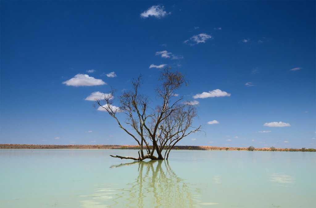 Озера австралии в основном. Эйр Норт Австралия. Озеро Эйр Норт. Озеро Эйр норм в Австралии. Фото озера Эйр Норт в Австралии.