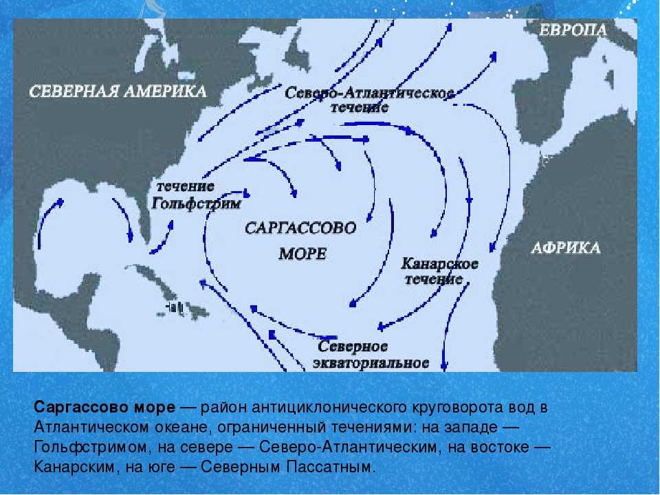 Северо атлантическое течение. Саргассово море течения. Саргассово море на карте Атлантического океана. Саргассово море карта течений. Саргассово море и Гольфстрим.