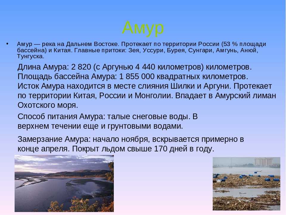Амур имеет питание. Описание реки Амур. Презентация на тему река Амур. Реки России доклад. Крупнейшая река дальнего Востока.
