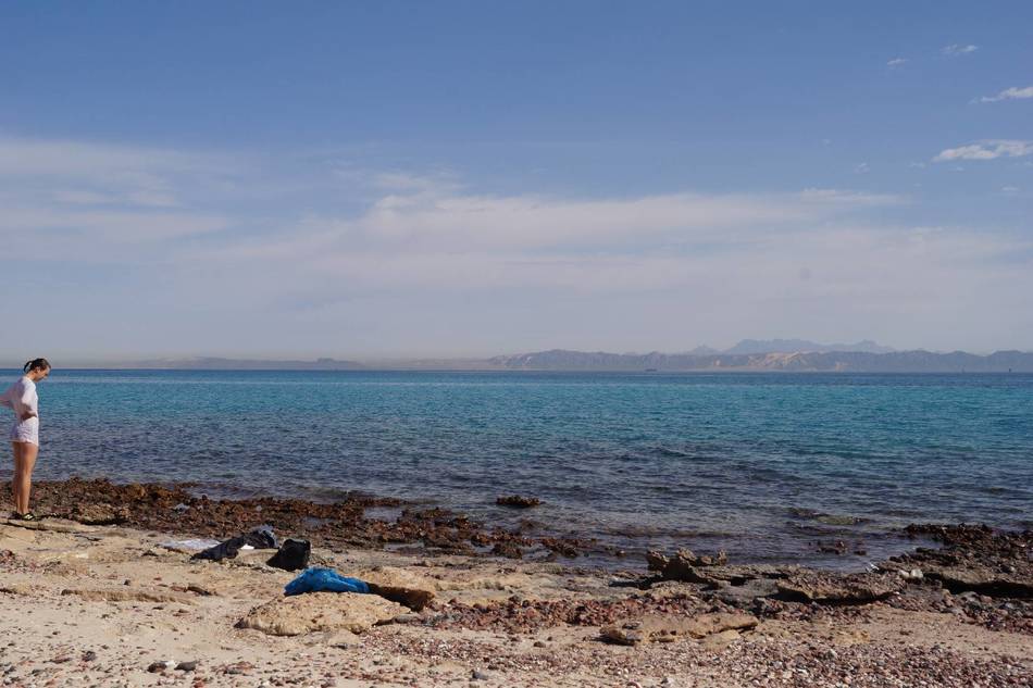 Где самое теплое море в мае. Самое теплое море. Самое тёплое море в мире. Красное море самое теплое. Самое теплое море в Европе сентябрь.