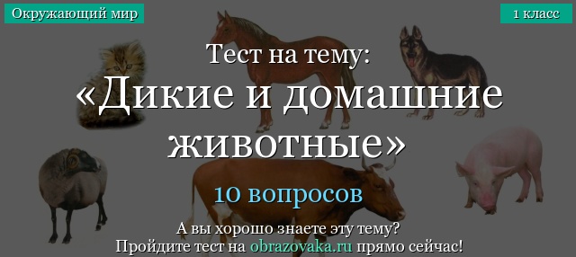 Тест дикие животные. Тест по теме Дикие и домашние животные. Тесты про диких и домашних животных. Окружающий мир тест Дикие и домашние животные. Дикие и домашние животные 2 класс тест.