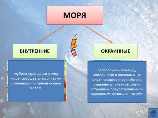 Назови окраинные моря