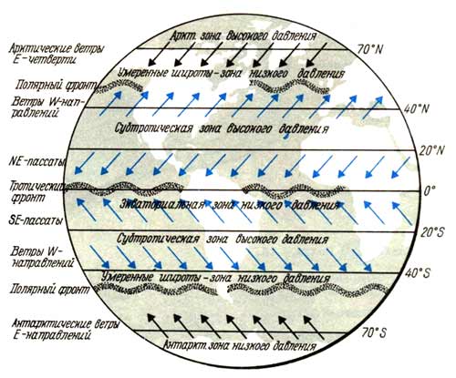 Восточные господствующие ветры. Преобладающие направления ветров. Западные ветры на карте полушарий.