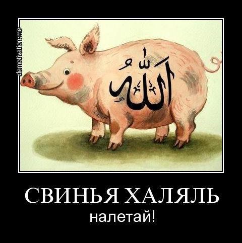 Как будет какашка по татарски. Смешные шутки про свиней.