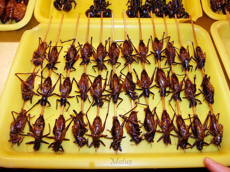 Тараканы купить новосибирск. Тараканы в Тайланде. Тараканы блюдо. Жареные тараканы. Съедобные тараканы.