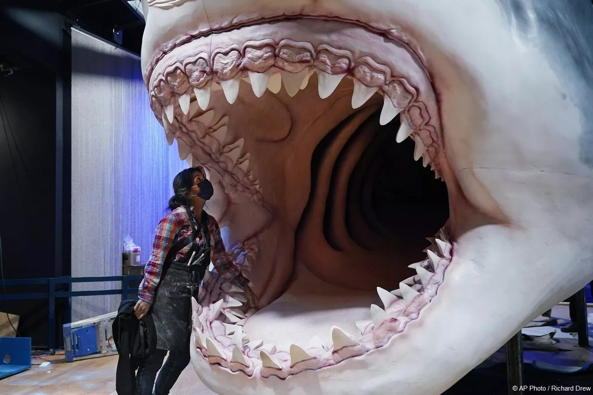 Самая большая пасть. Зуб акулы МЕГАЛОДОН. МЕГАЛОДОН челюсть. Зуб акулы МЕГАЛОДОНА. Акула МЕГАЛОДОН челюсть.