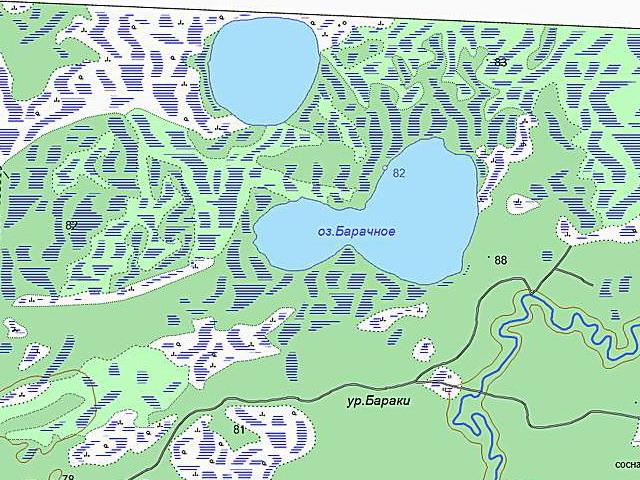 Бараки карта. Карта Колпашевского района Томской области. Карта Колпашевского района. Оз. Барачное Колпашевский район. Карта озер.