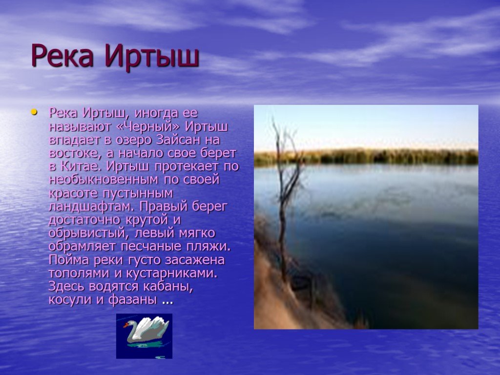 На реке краткое содержание. Растения реки Иртыш. Информация о реке Иртыш. Река Иртыш в Казахстане. Презентация на тему реки.