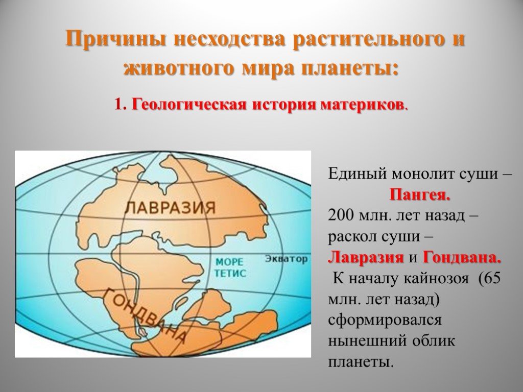 Континент пример. Пангея Гондвана Лавразия. Материки история. Древние материки Пангея Лавразия Гондвана. Раскол Гондваны и Лавразии.