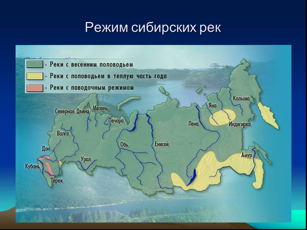 Восточная сибирь реки список. Реки средней Сибири на карте. Режим реки Лена. Режим реки реки Лены. Крупнейшие реки Сибири на карте.