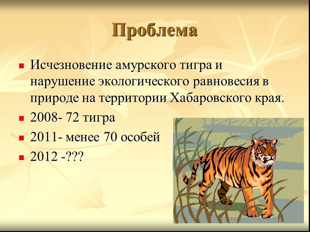 Исчезновение амурского тигра. Сохранение Амурского тигра. Амурский тигр вымирание. Амурский тигр презентация. Амурский тигр вымирает.